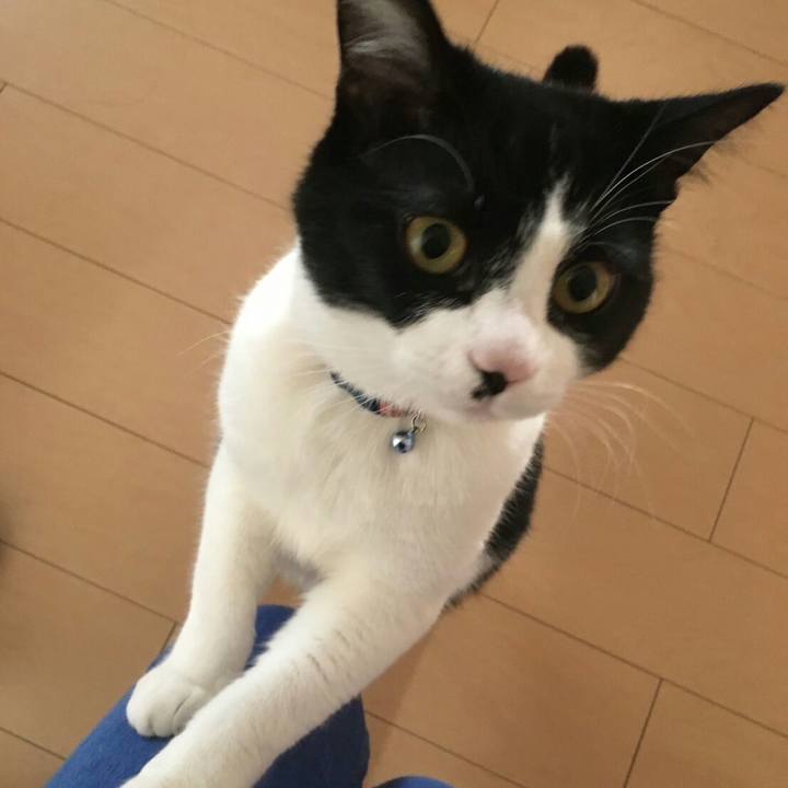 0ecb4efa 289b 4dcd 8b74 1a56781c335b