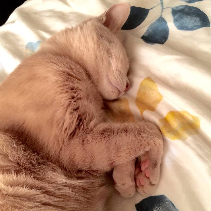 0ecb6fcf 5c11 49b4 9547 2decf6c26889