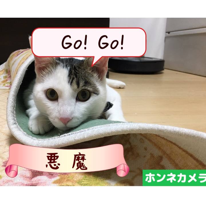 0ecbc2bd 1f9a 4e47 8e41 a224658d015c