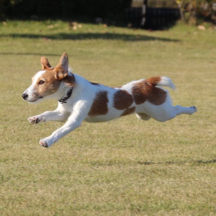 0ecce9b9 5916 4ee8 8db2 9a07948c7ec4