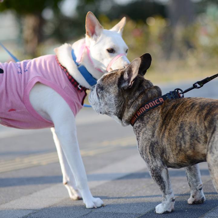 0ecdbc54 2436 4319 86df 4c0ccb210385