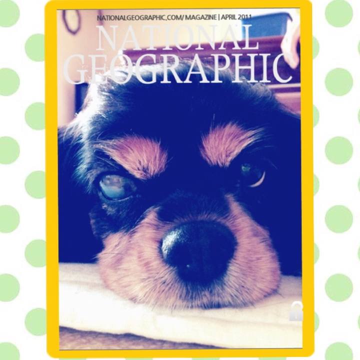 0ecdfe60 e037 4e40 902f 37a59a0bd022