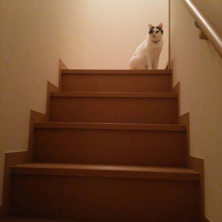 0ece4bde 75b3 4182 b431 4ad81f458138