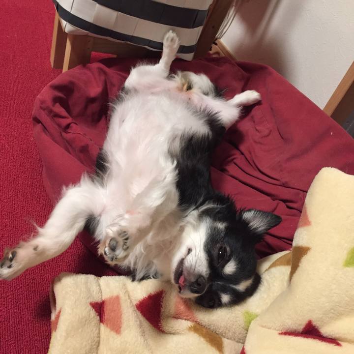 0ece58ce ebd3 4044 b079 e0e738a3cd7b