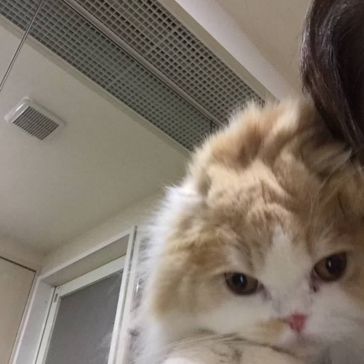 0ece97ac ea0a 4e1d 9a25 0fb40e2ad1f0