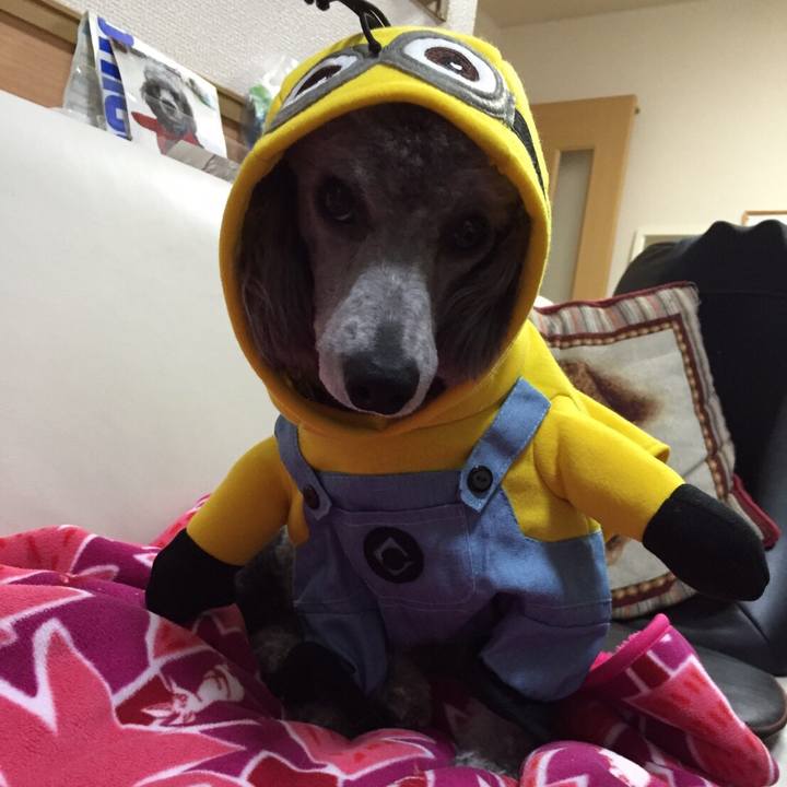 0ecea4f7 1f20 4027 9585 3bdc3a53f663