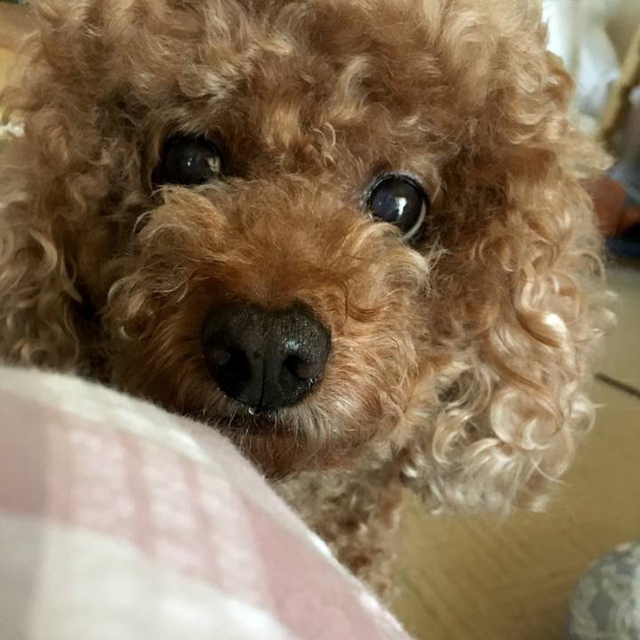 0ecec156 4340 424b b6be 6535838f2928