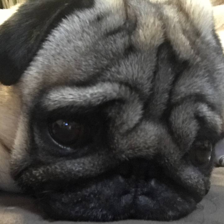 0ececbf4 47fd 42c4 bb4e c4a0af7c894f