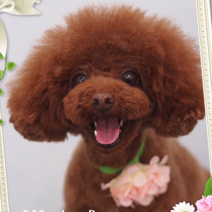 0ecf08d1 1fac 42ff a216 4d52f99a0a6d