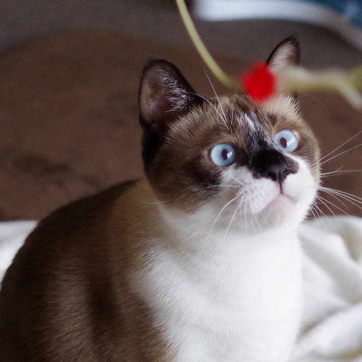 0ecf54a2 1e76 46b2 8f3a 4b70db397870