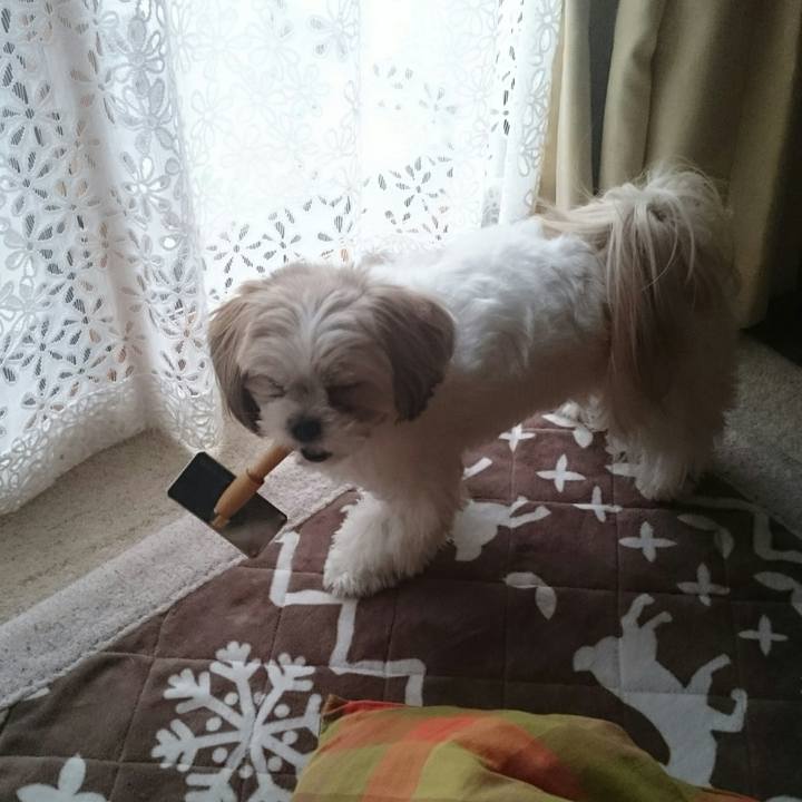 0ecfbed1 f570 4b45 878f f49dd48f4595