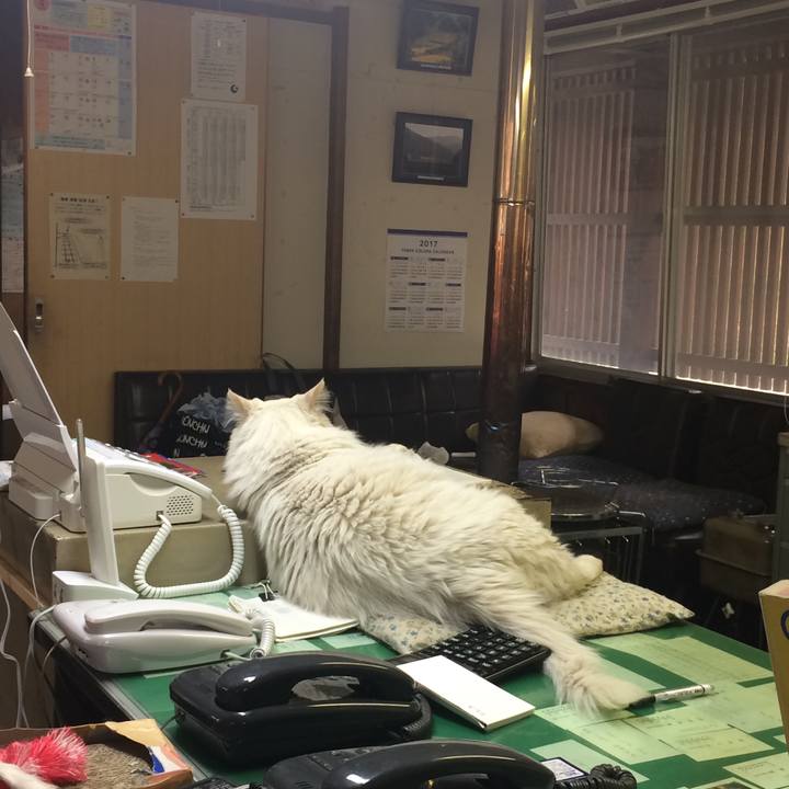 0ed0b705 c863 4979 ab5f 5ea47e3bee48