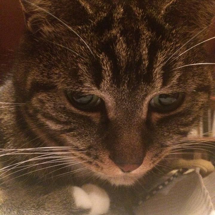 0ed0c11b 74f8 4efe 8497 7e64e6c4f109