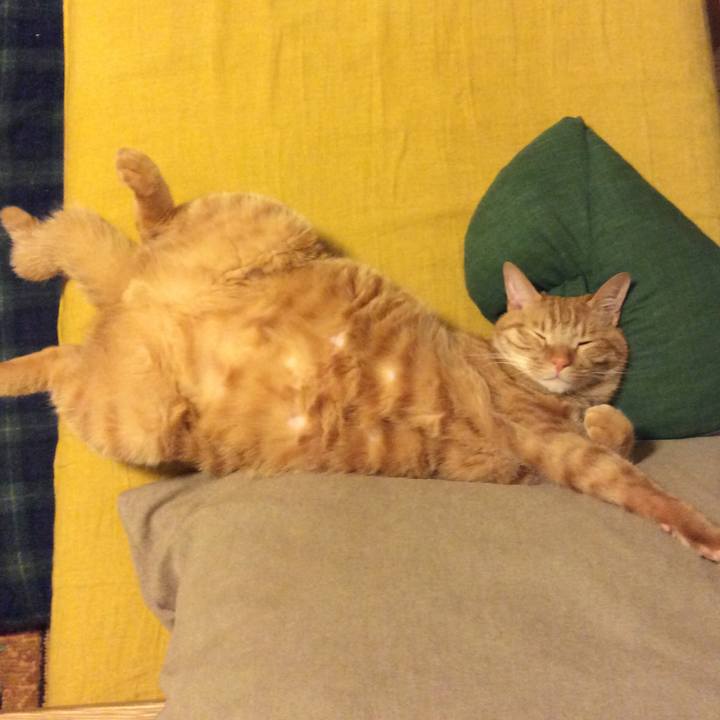 0ed0e255 b40a 4cd5 a6ed 8e234dd66dc7