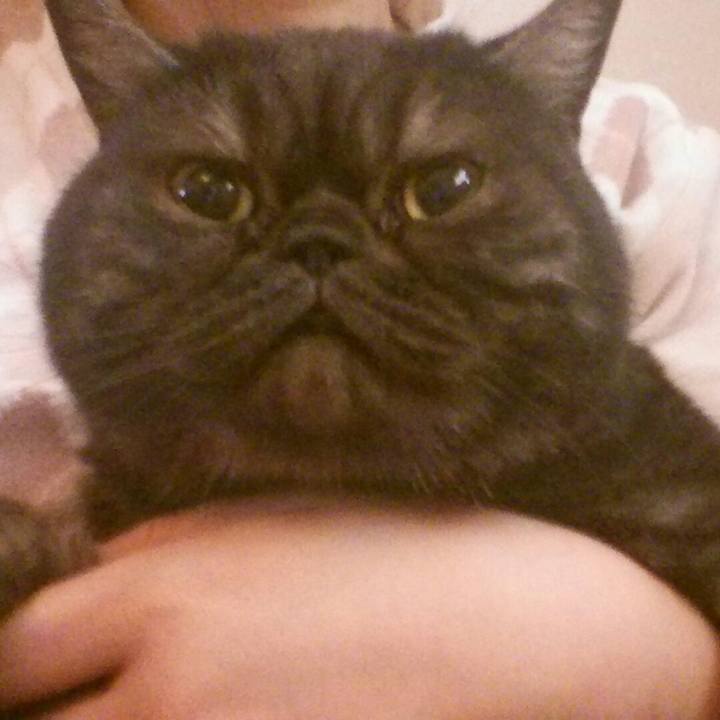 0ed1c47a 8fce 401d 8073 3ef5808f1d01