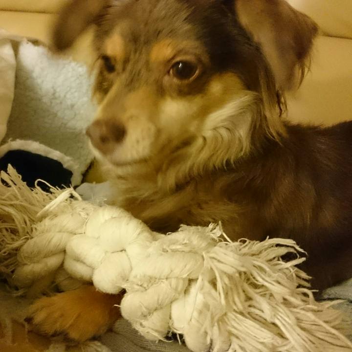 0ed222e5 315f 496c 9f11 2842f82648a0