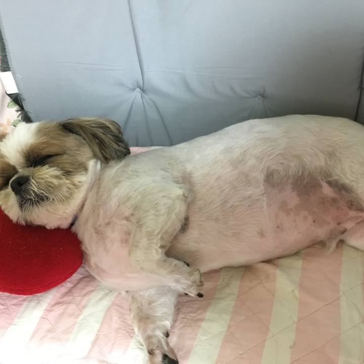 0ed2283d b33b 40a9 bba2 5bb431e74e77