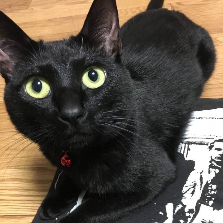 0ed23e67 a09c 4eab 8b05 638a9e2648ae