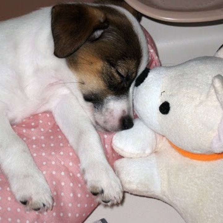 0ed2d585 1797 4394 9fc0 678c5ccdd23a