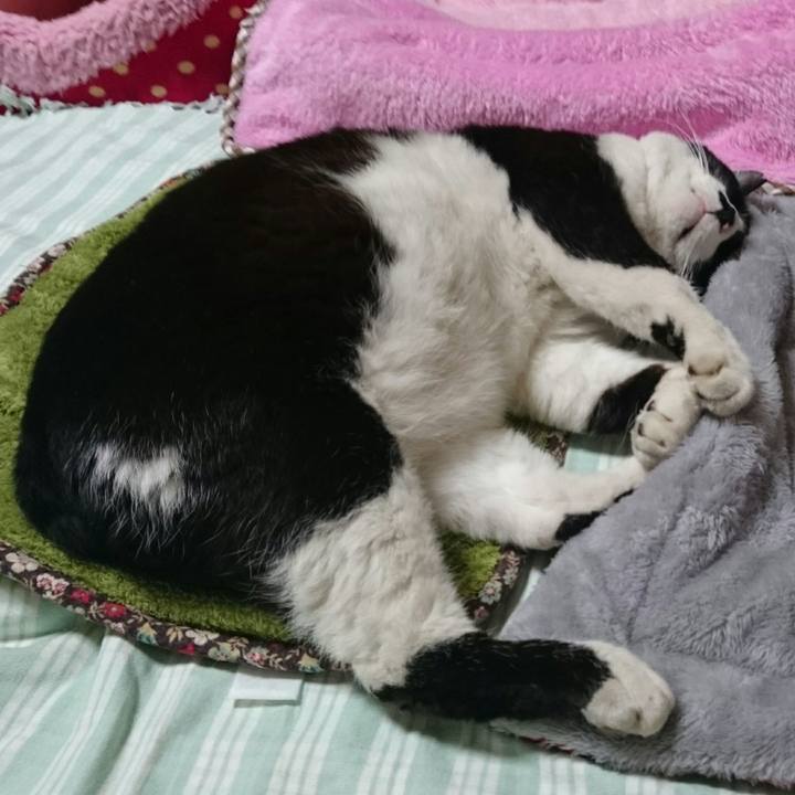 0ed30135 b0fa 4fae 9fa0 e830629df72c