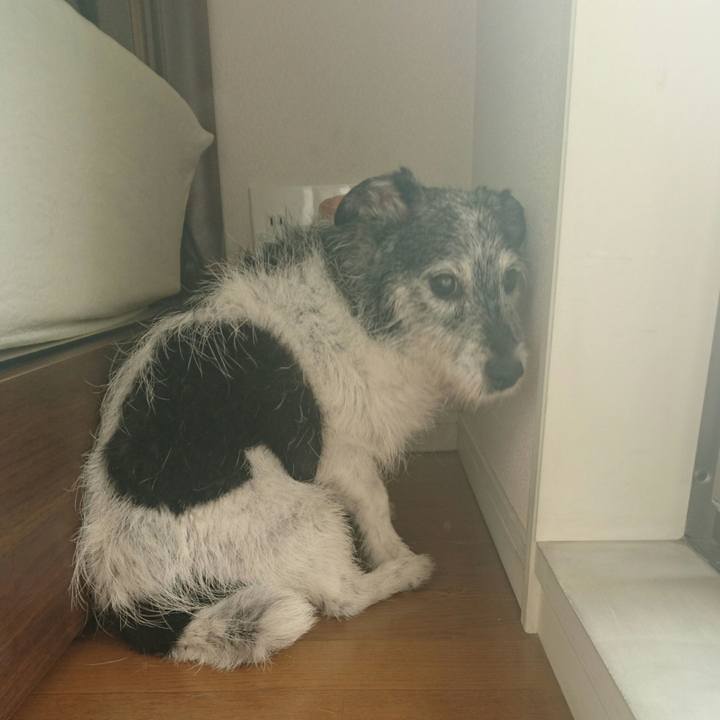 0ed303e3 5a25 4bc1 ac64 ca02bdf76851