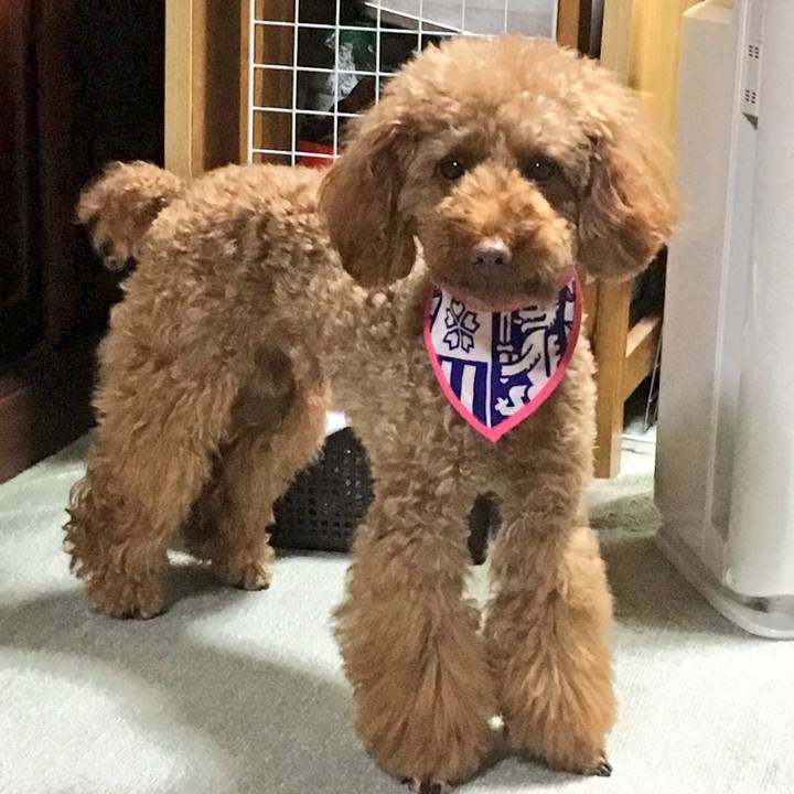 0ed41082 b065 46ea b5ce a4934c22f70f