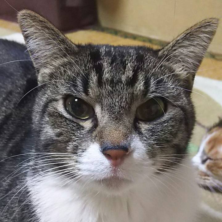 0ed4446f 8f16 4c33 a757 7ee69c642790