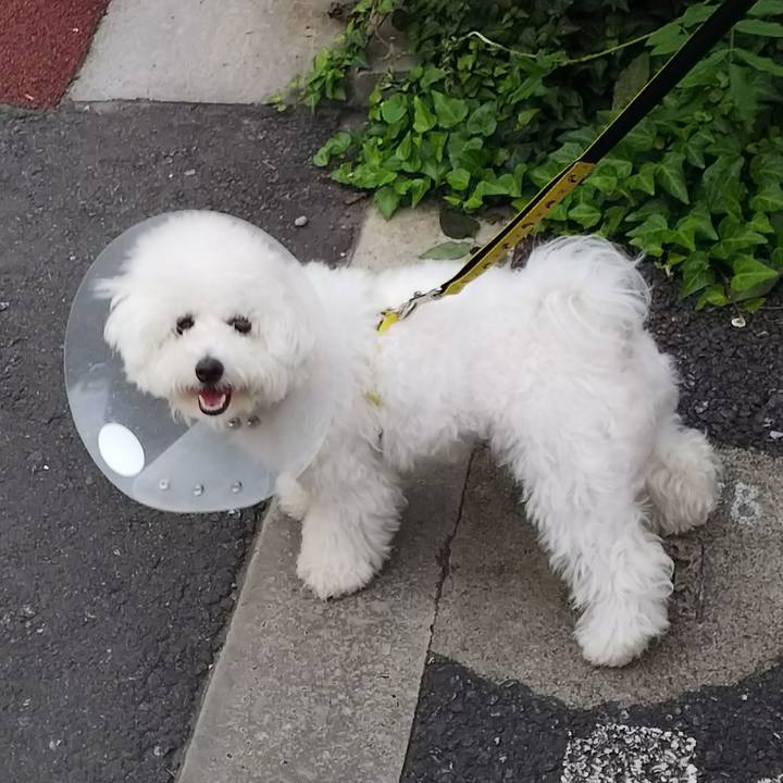 0ed48291 fb15 4955 8136 d34806370825