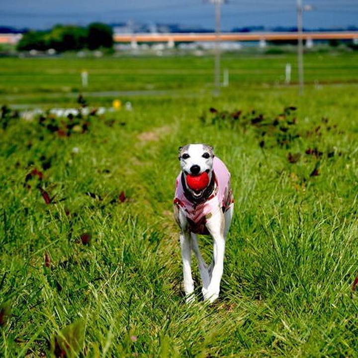 0ed4fe13 d75f 454e b577 20654aa4b75c