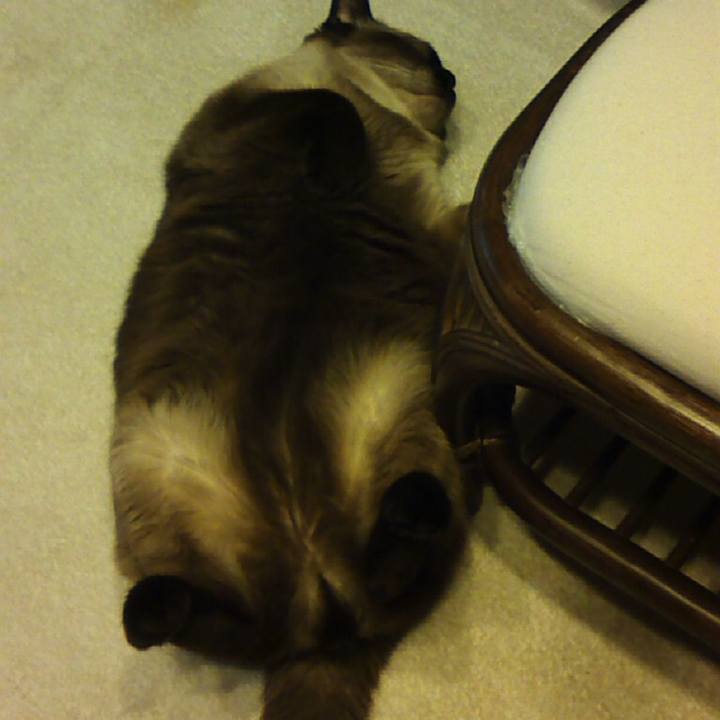 0ed53199 c1e2 4a8b 866e 266115062008