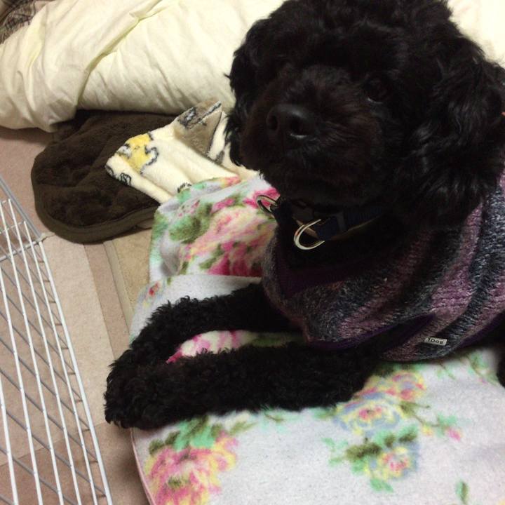 0ed531b5 39e2 4455 a7d9 4bb86eb58f09