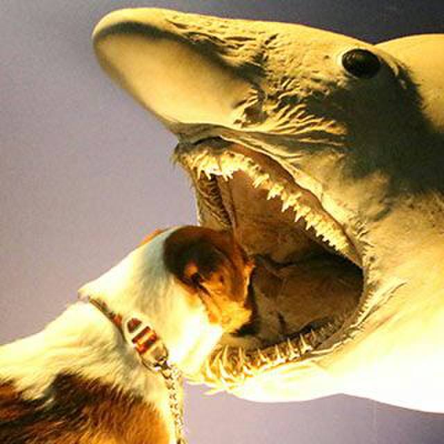 0ed5feb9 da6d 420f af14 4710b8a6605b