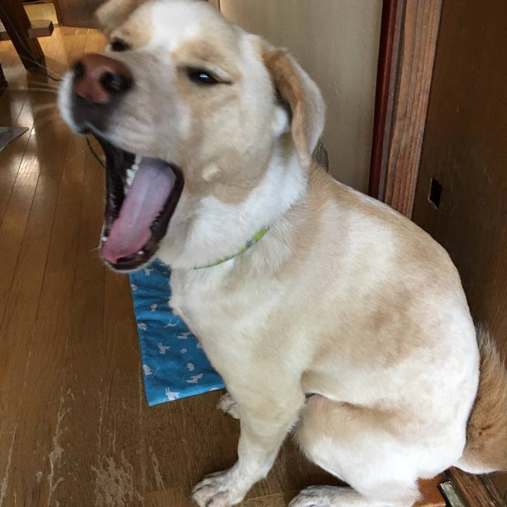 0ed7061e 50ab 4133 8637 b94738cda311