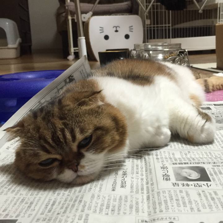 0ed72170 8c1d 4695 bb3e 36ee90fded10