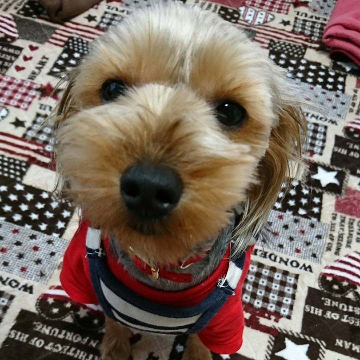 0ed77dc9 83e1 4d38 8e3e f8f6cadfb164