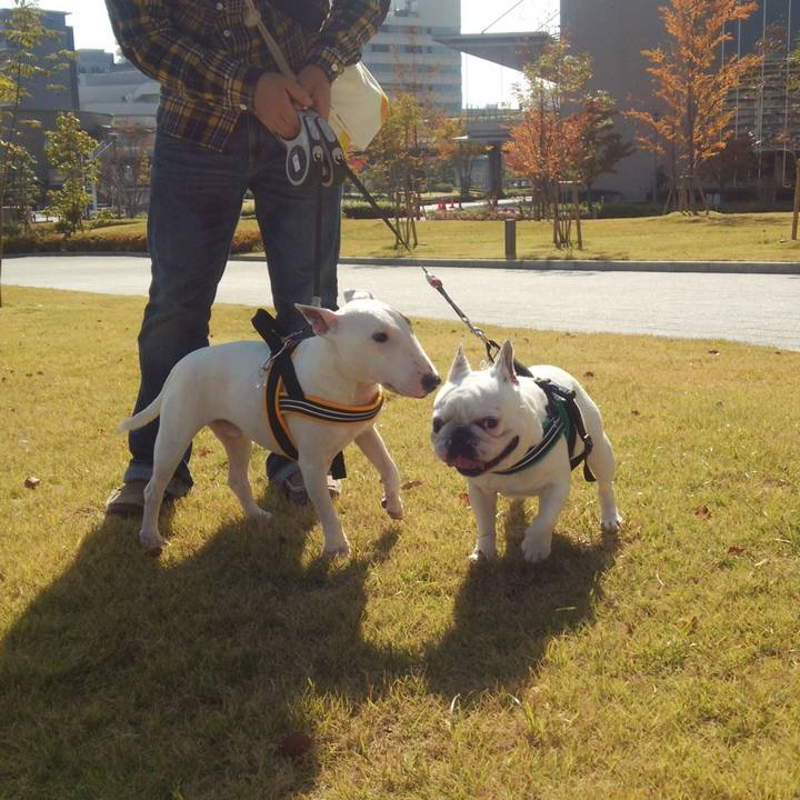 0ed872d4 9f1d 43bb 8ed1 7d840b3e8f9b