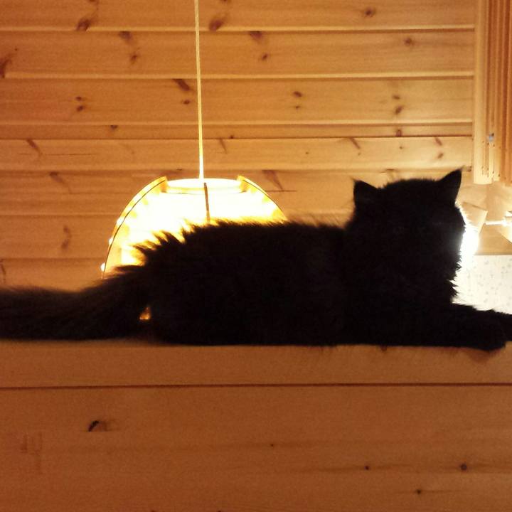 0ed8abba c228 4111 96dc 4f5a3063ff1b