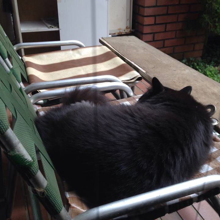 0ed8ed89 b4f3 4f1c aeb9 fcfdfe6ccb57