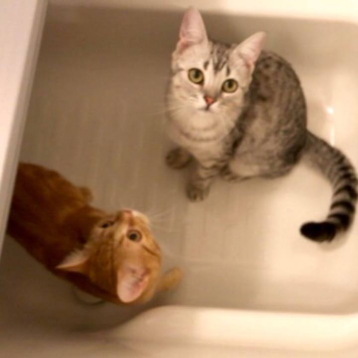 0ed94ef7 5fb1 4276 95f3 5a723e1ed41a