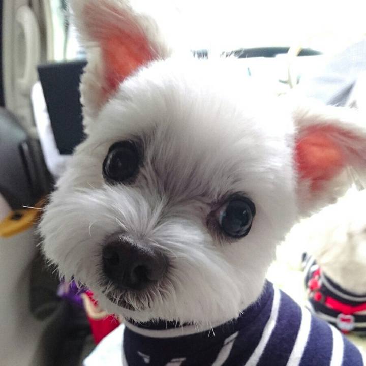 0ed9699d 0f53 4d1f b6b0 a43b1d03a436