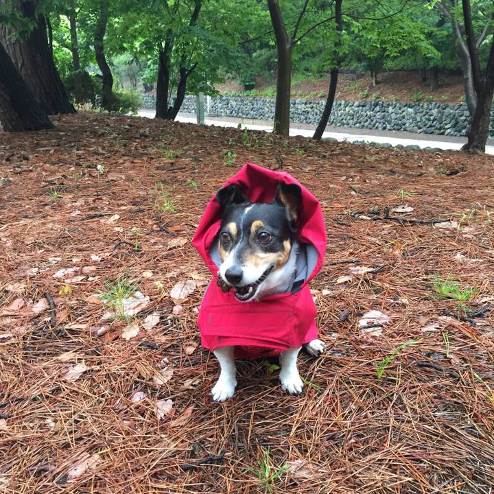 0ed98678 6632 472e a0e5 bd35928b9140