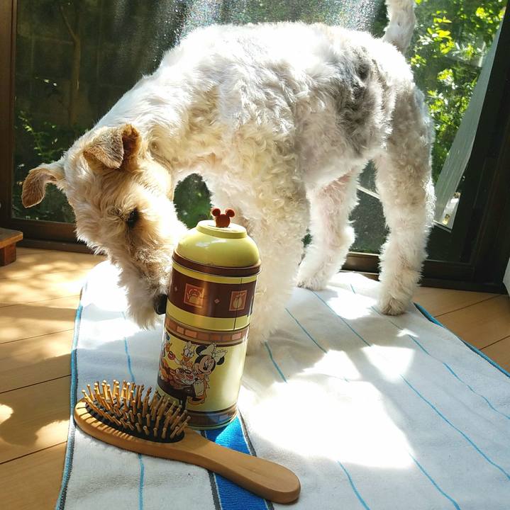 0edac747 f785 4b85 8233 531c2c7a1edf