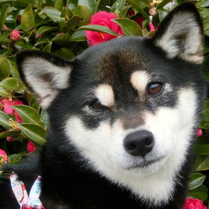 0edafbd4 651f 474c b29e 4afbf5b83db9