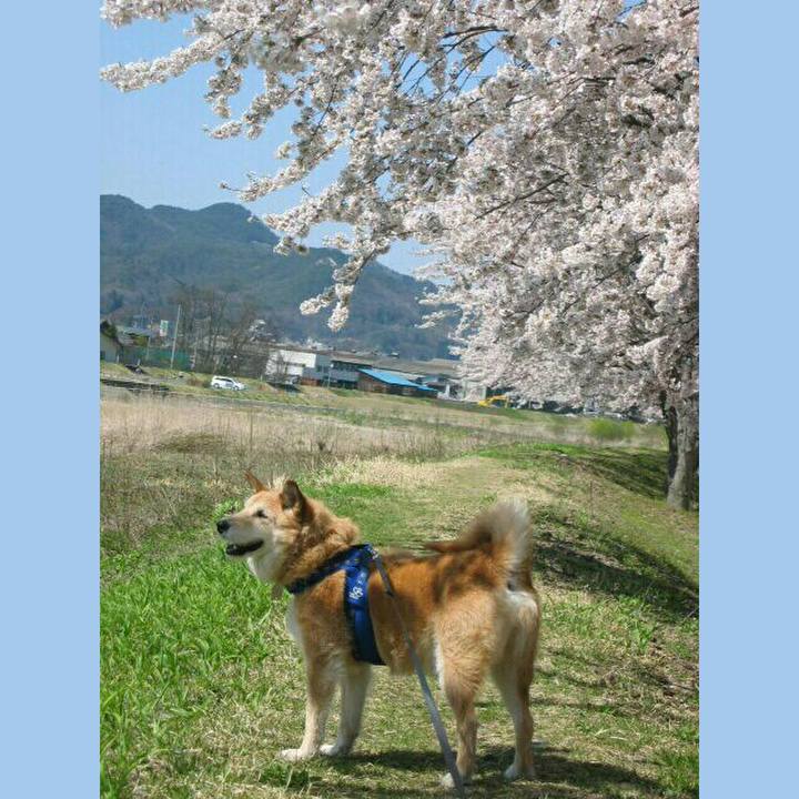 0edb4a2b 8c47 43af b5ff 9a15b81e6a27