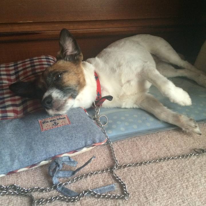 0edb5bb3 2920 4cb8 ae80 f3d90072cf0b