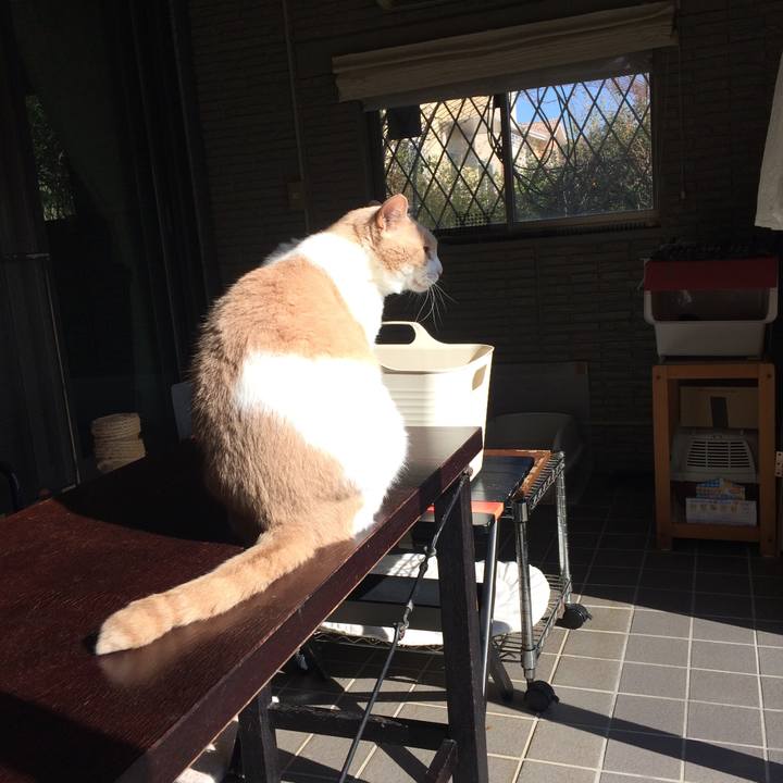 0edba3f8 2a7f 47ad 8671 0d8e20e44aa6