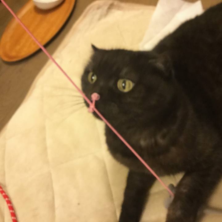 0edc5551 55f3 490c 8c99 05ceb66b01a1