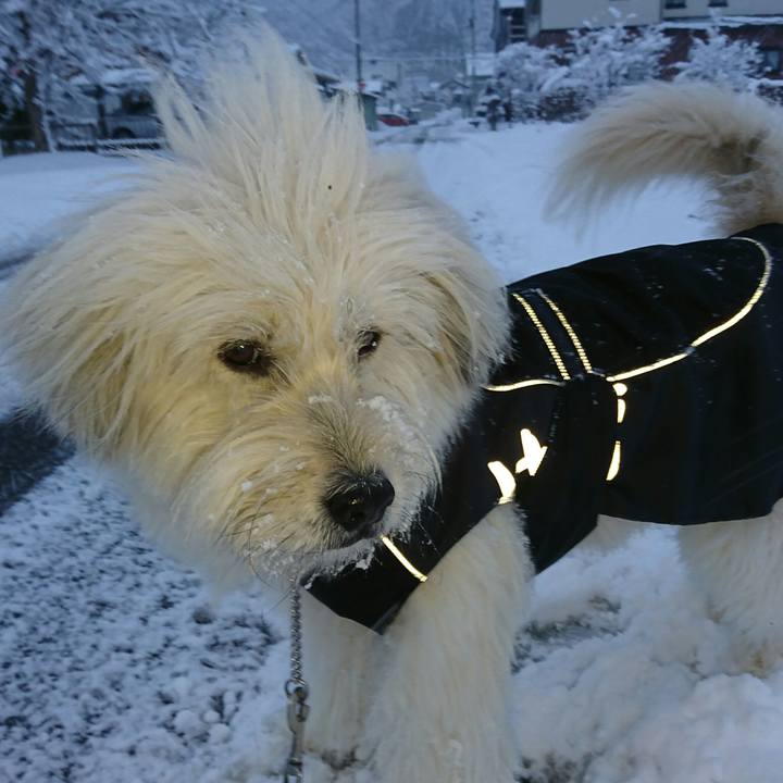 0edca725 3afe 40da bcef f9eb8226d34f