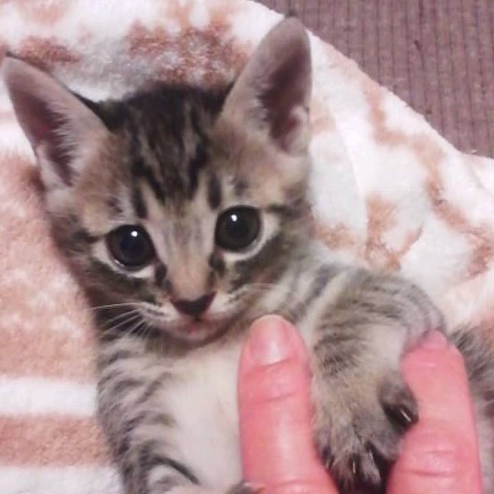 0edd8c4d 6a6e 4f23 9e07 86535fe5de99