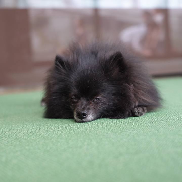 0eddf609 86d7 4cac ac0a 87df2ed2862b